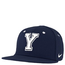 champion City flower reckless Block Y Fitted Baseball Team Flat Bill Hat - Nike